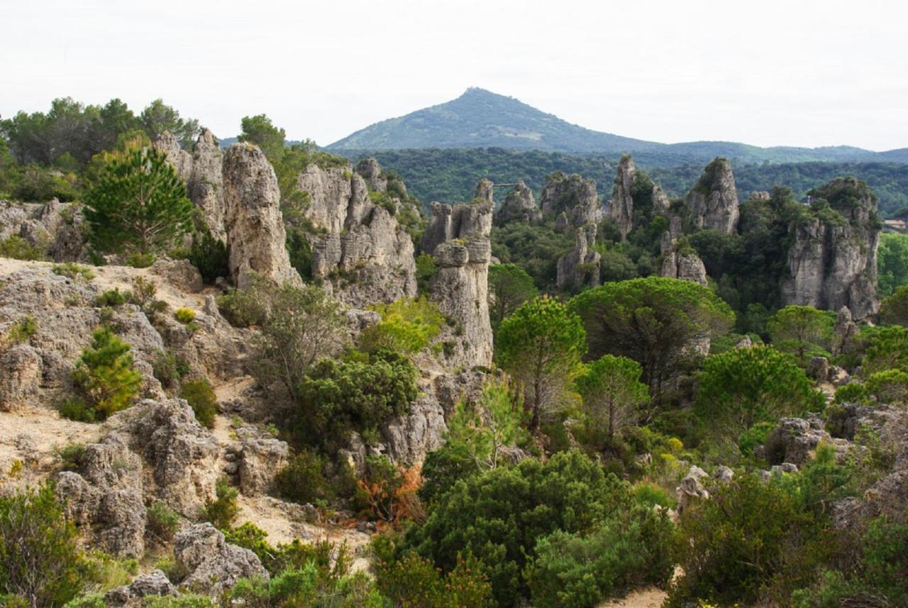 "Evasion"-Meuble De Tourisme 3 Etoiles -Residence "Les Logis De Beziers"-Garage Optionnel-Coeur De Ville-Plages A 16Km ! ภายนอก รูปภาพ